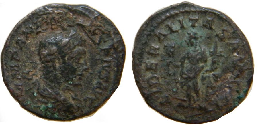 Documented specimen of this type held by The British Museum.