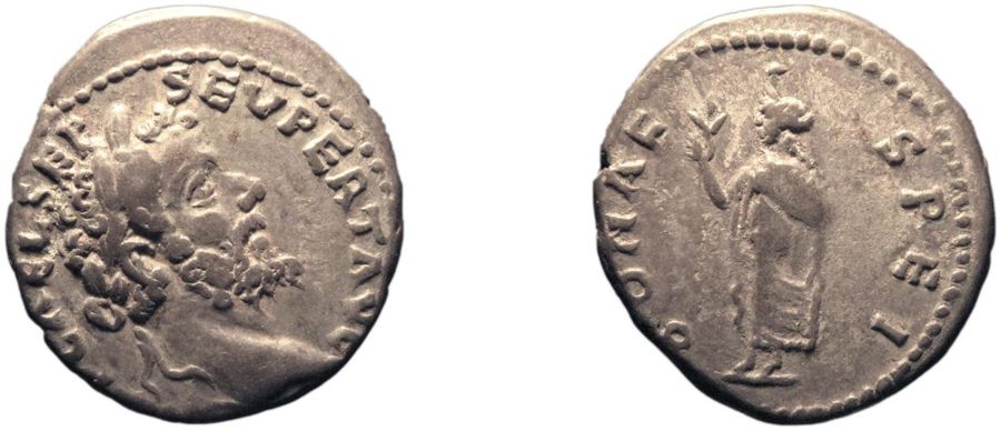 Documented specimen of this type held by The British Museum.